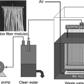 Pdf Fabrication Of Lab Scale Hollow Fiber Membrane Modules With High