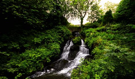 Free Images Landscape Tree Nature Outdoor Waterfall Adventure