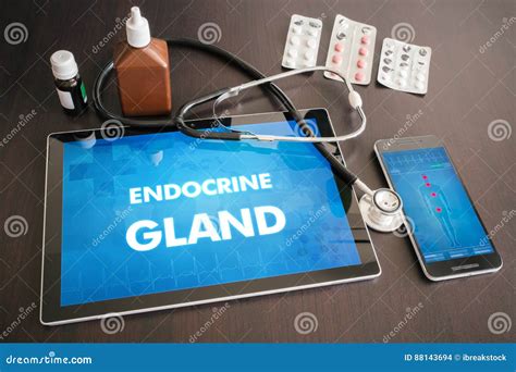 Concept Médical De Diagnostic De Glande Endocrine La Maladie