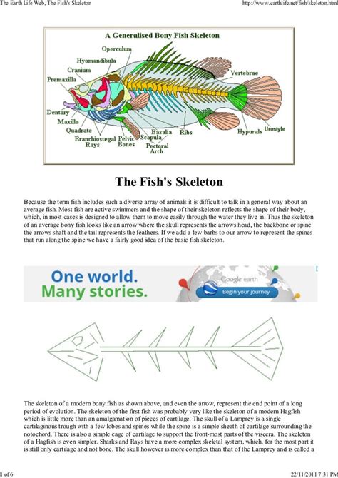 Fish Skeleton