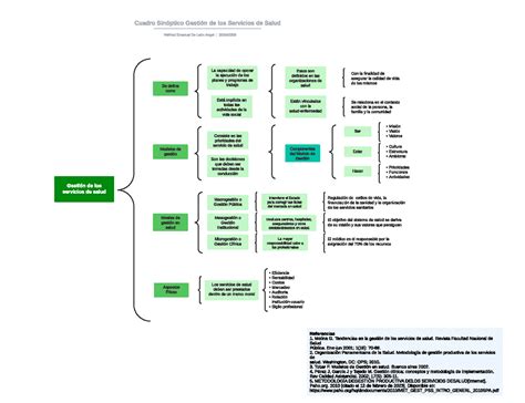 Cuadro Sin Ptico Individual Gesti N De Los Servicios De Salud Con