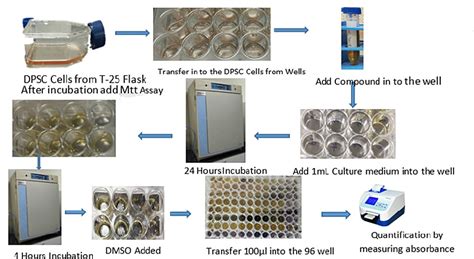 Figure 2 From Cytotoxicity Evaluation Of Various Composite Resin