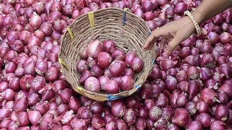 Maharashtra Onion Auctions Restart At Nashiks APMCs As Traders End Strike