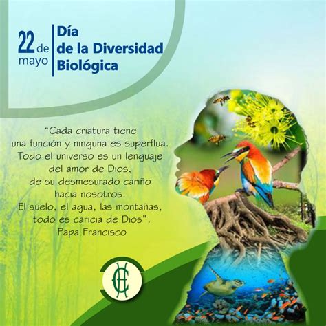 Día De La Diversidad Biológica 22 De Mayo