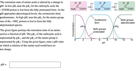 Solved The Ionization State Of Amino Acids Is Altered By A Chegg