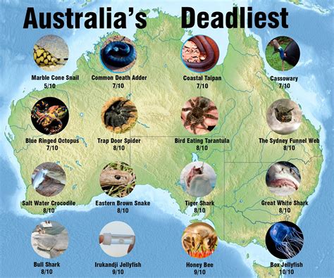 Australia's top 30 most dangerous animals | Australia animals, Deadly