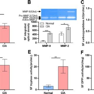 Cia Rat Model The Activities Of Cpa Chymase Tryptase Mmp And