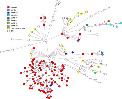 Minimum Spanning Tree Of Cim Positive P Aeruginosa Isolates And