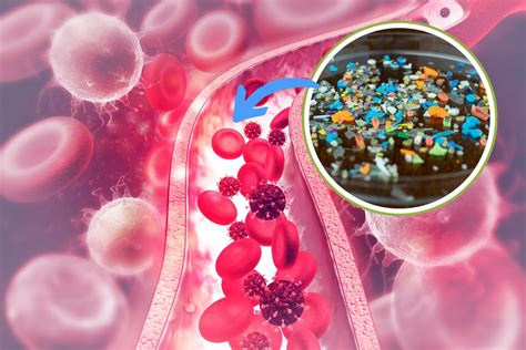 microplastics   blood  growing threat  brain health greenme