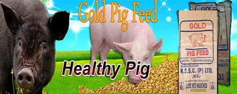 Pig Feed At Best Price In Raiganj By Northern Service And Supply Copvt