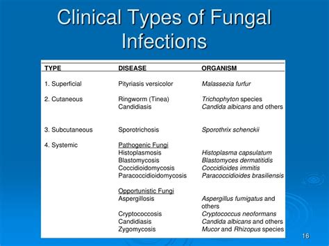 Ppt Mycology Powerpoint Presentation Free Download Id 1899063