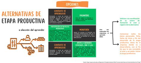 Actividad De Aprendizaje 4 Alternativas De Etapa Productiva Cuadro Sinóptico Aa4 Ev01