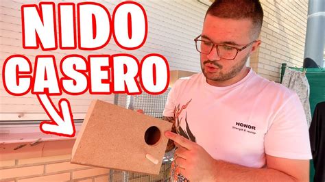 Nido Para Periquitos Parte Como Hacer Un Nido Nidos