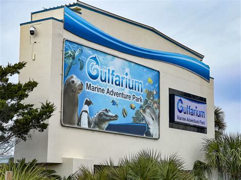 Gulfarium to build a new show stadium and dolphin pool