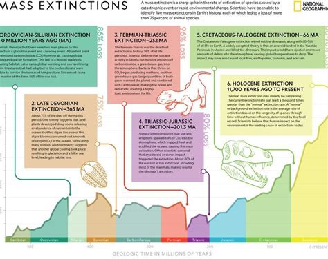 Cartoons | National Geographic Society