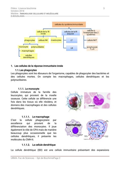 SOLUTION Cellules Du Syst Me Immunitaire Studypool