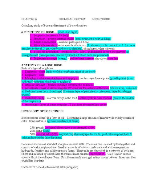 Chapter 6 Skeletal System - CHAPTER 6 SKELETAL SYSTEM: BONE TISSUE