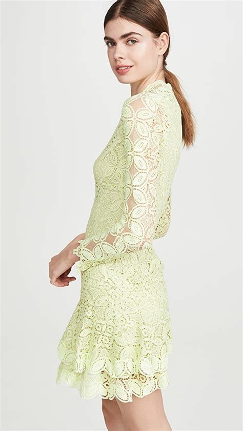 Jonathan Simkhai Guipure Lace Long Sleeve Mini Dress Long Sleeve Lace