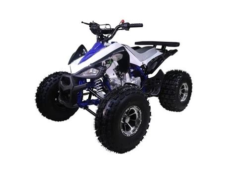 Tao Tao 125 Atv Ata 125 New Cheetah Taotao New Cheetah 125cc