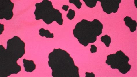 Pink And Black Cow Print Hd Cow Print Wallpapers Hd Wallpapers Id