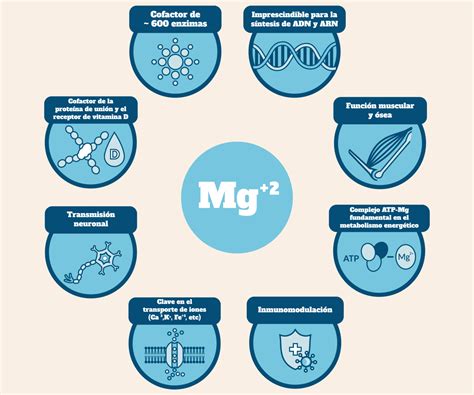 Para qué sirve el magnesio Beneficios para la salud Kiroot