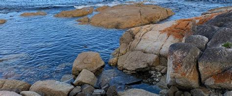 9 Best North East Tasmania Road Trip Stops 2024