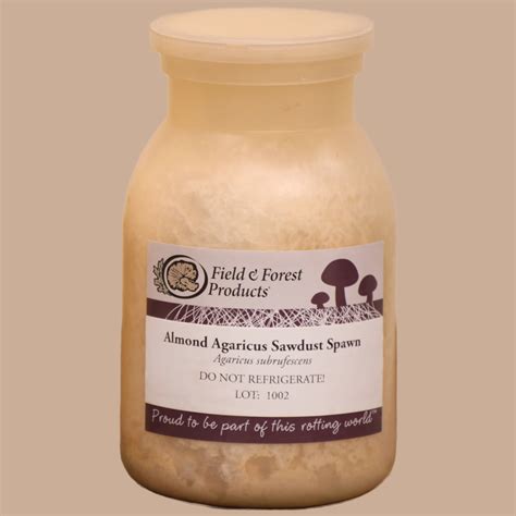 Almond Agaricus Garden Kit Bottled Sawdust Spawn