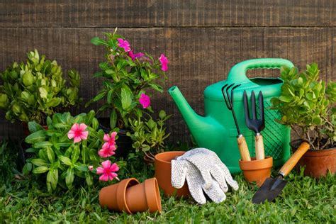 Come Preparare Il Giardino In Primavera Grande Portale