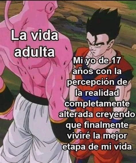 La Vida Adulta Mi Yo De A Os Con La Percepci N De Realidad