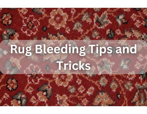 CNA Pointclickcare: The Hidden Costs That Are Bleeding Facilities Dry.