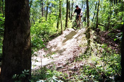 Comite Trails Mountain Bike Trail In Baton Rouge Louisiana