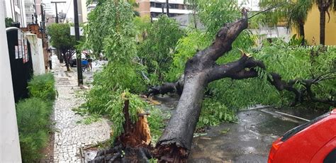 Chuva Intensa Causa Alagamentos E Quedas De árvores Em Fortaleza