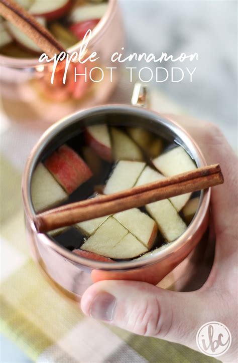 Apple Cinnamon Hot Toddy Recipe Tasty And Warm Fall Cocktail