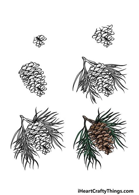 Pinecone Drawing How To Draw A Pinecone Step By Step