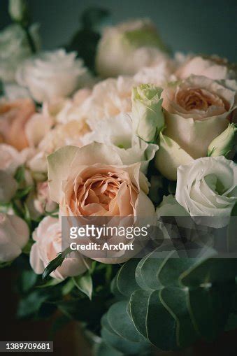 Beautiful Pastel Roses Bouquet High-Res Stock Photo - Getty Images