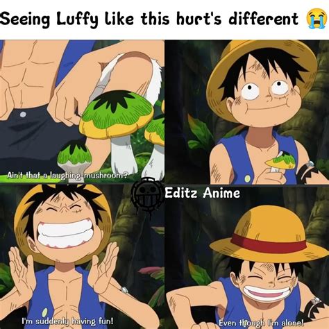 Pin By Veronica 😆 On One Piece One Piece Cartoon One Peice Anime