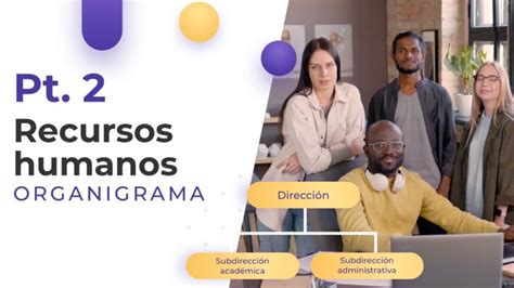 Recursos Humanos En Bbva Organigrama Y Funciones Esenciales