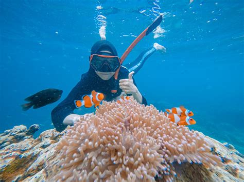 Pulau Pahawang Memiliki Sejarah Yuk Belajar Bareng Bersama Yura