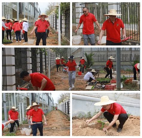 环境与植物保护研究所 党建工作 环植所第一党支部和第五党支部联合开展主题党日活动