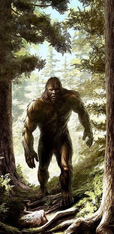 Bigfoot Art Discover The Mystical Beauty Of Bigfoot