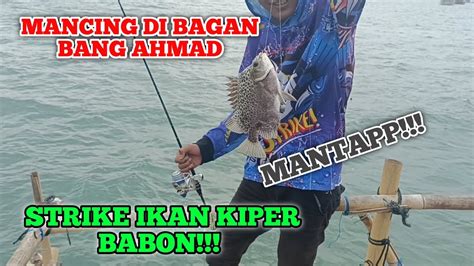 MANCING DI TANJUNG PASIR BAGAN BANG AHMAD STRIKE IKAN BABON YouTube