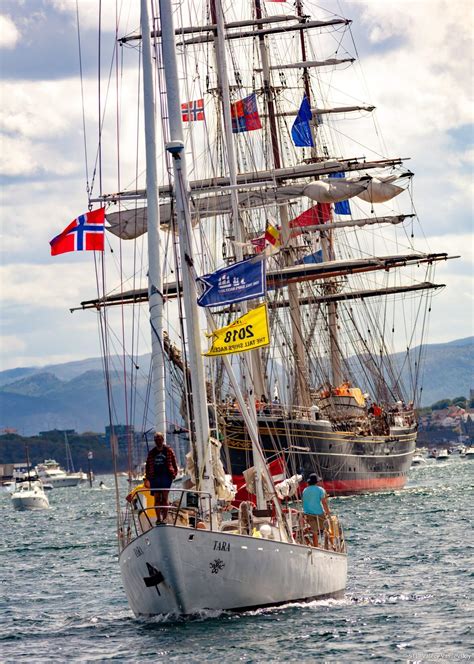 The Tall Ships Races Antwerpen