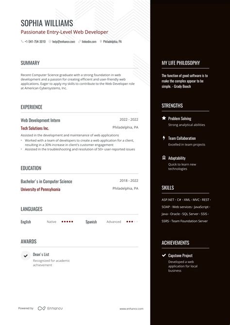 It Resume Examples Guide For