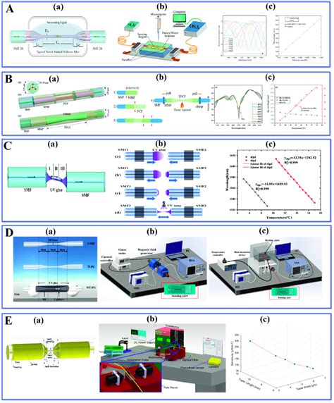 Schematic Diagrams Of A A Smf28 Tapered Tamcf Smf28 Structure And Download Scientific