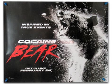 Cocaine Bear quad poster | Big Screen Autographs