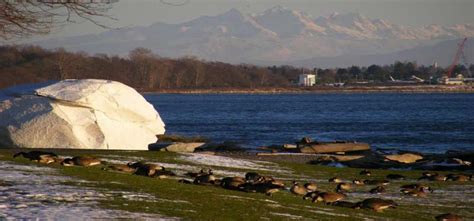 White Rock Beach, White Rock Beach Canada Holiday Travel