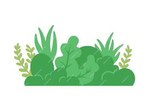 Premium Vector Shrub Bush Illustration