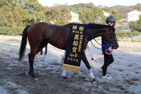 高知けいばが令和3年度売得金額が過去最高を記録 競馬ニュースなら競馬のおはなし