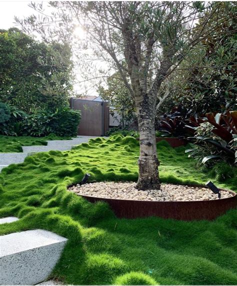 Plant Tiles Of No Mow Zoysia Tenuifolia Were Used In This Stunning