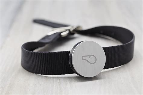 WhistleGPS GPS Dog Tracker Keeps Fido Connected